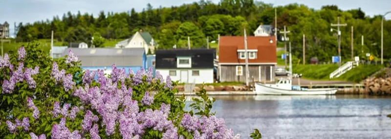 New England harbor